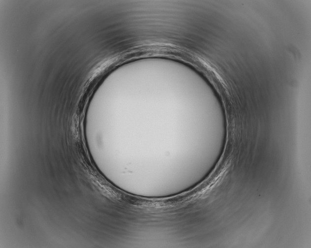 X0000112060970200908041007
