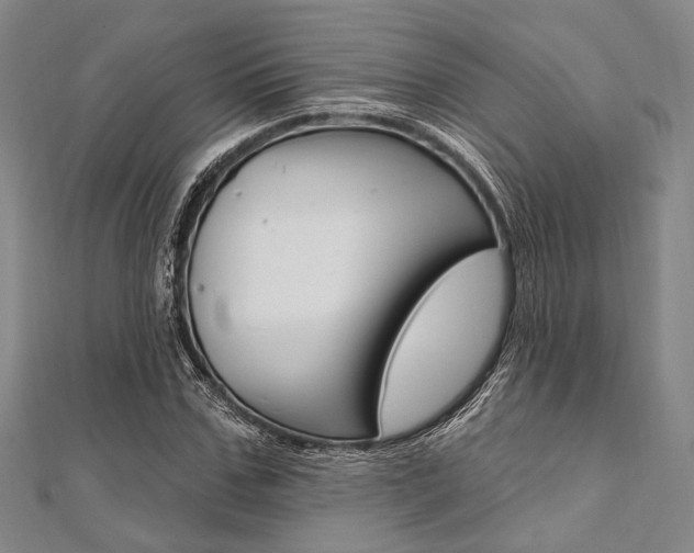 X0000112060971200908041007