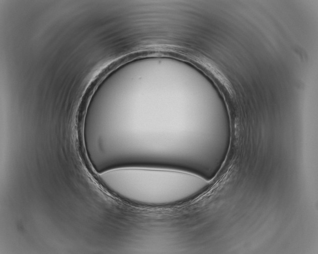 X0000112060972200908041007