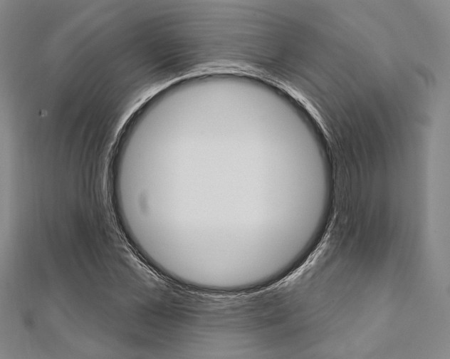 X0000112060973200908041007