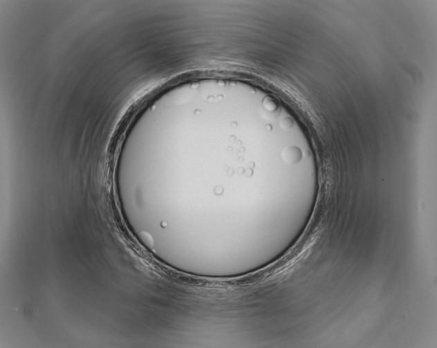 X0000112060974200908041007