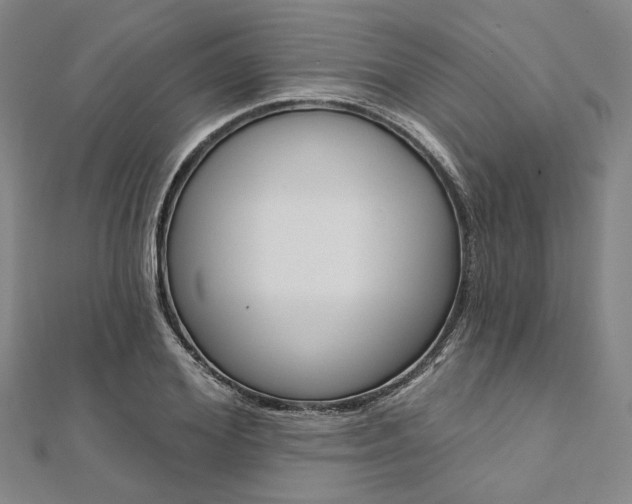 X0000112060980200908041007
