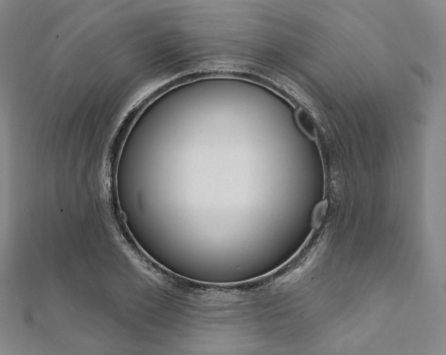 X0000112060981200908041007