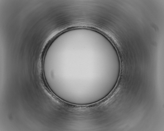 X0000112060982200908041007
