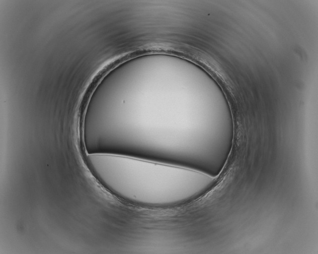 X0000112060984200908041007