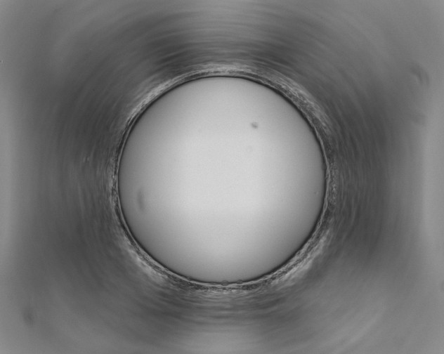 X0000112060985200908041007