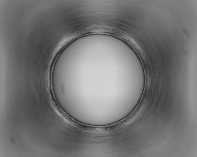 X0000112060986200908041007