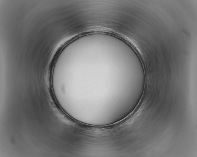X0000112060987200908041007