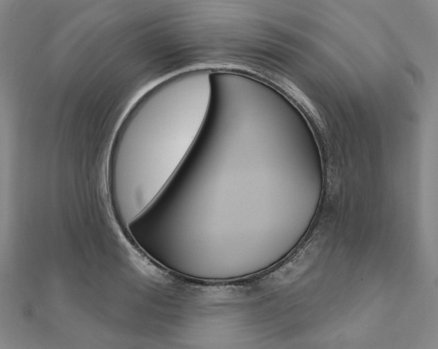 X0000112060988200908041007