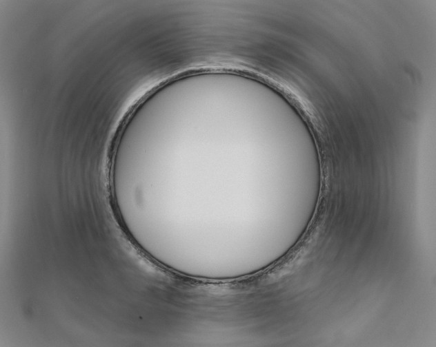 X0000112060990200908041007