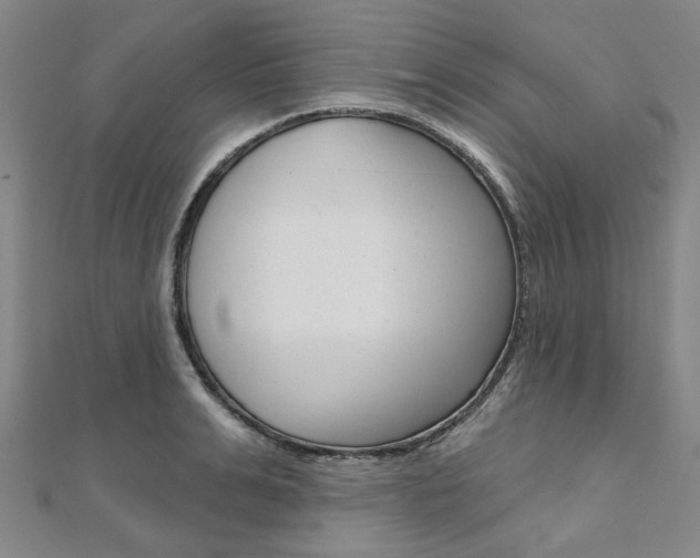 X0000112060991200908041007