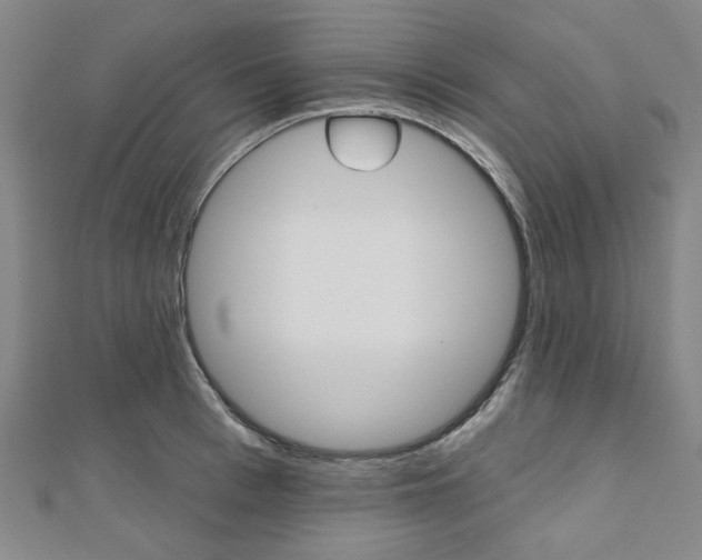 X0000112060993200908041007