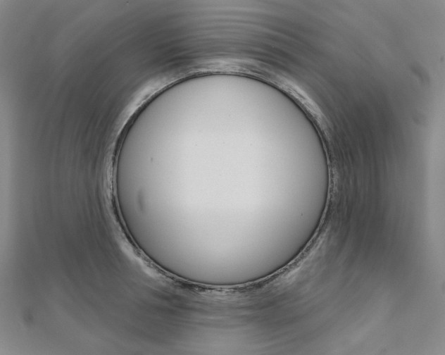 X0000112060994200908041007