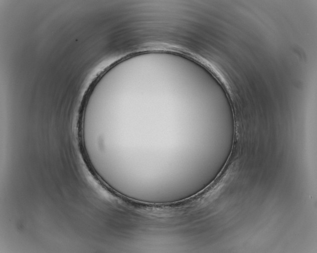 X0000112060995200908041007