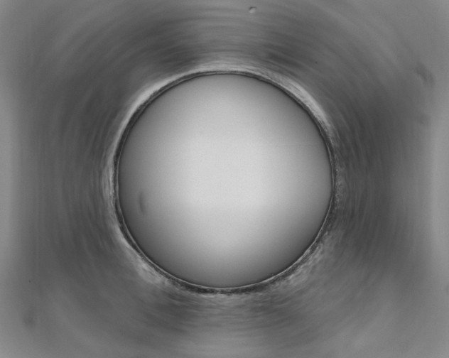 X0000112060996200908041007