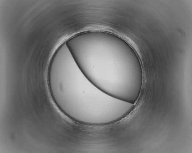 X0000112060997200908041007
