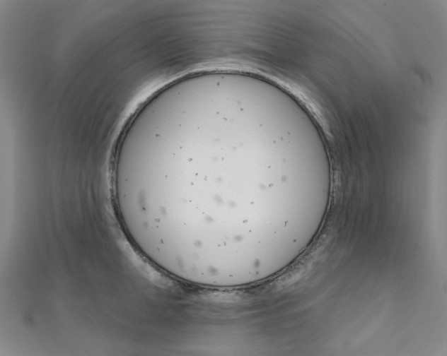 X0000112060998200908041007