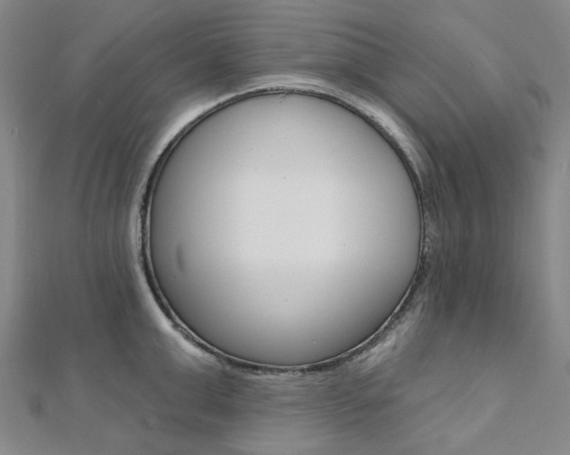 X0000112060999200908041007
