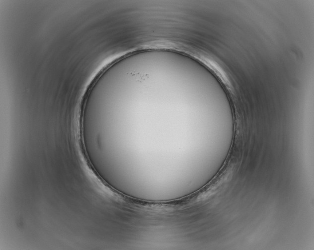 X0000112061000200908041007
