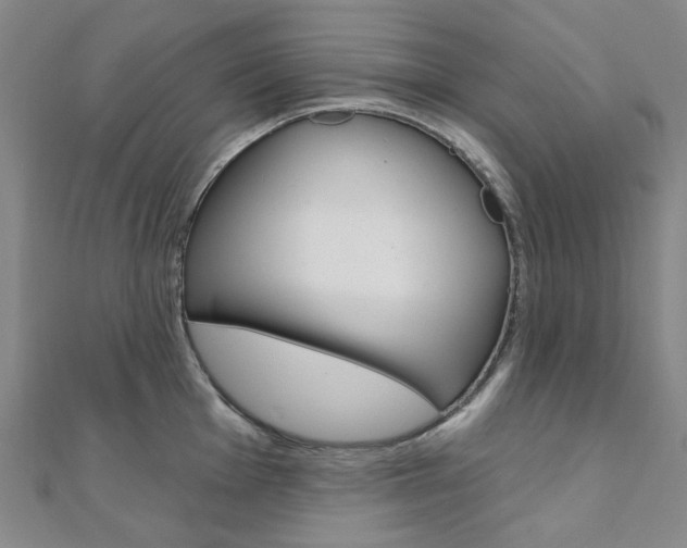 X0000112061001200908041007