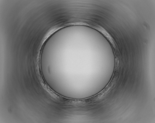 X0000112061002200908041007