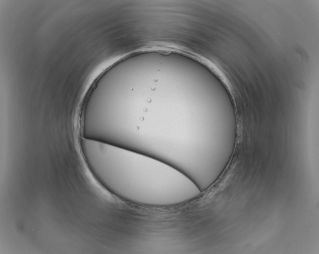 X0000112061003200908041007