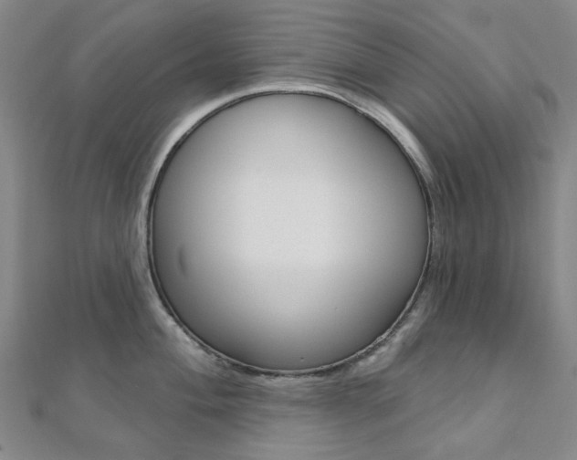 X0000112061004200908041007