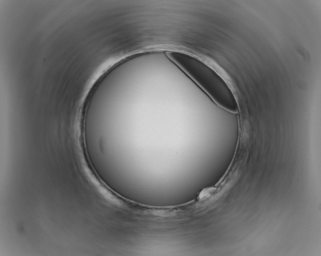 X0000112061005200908041007