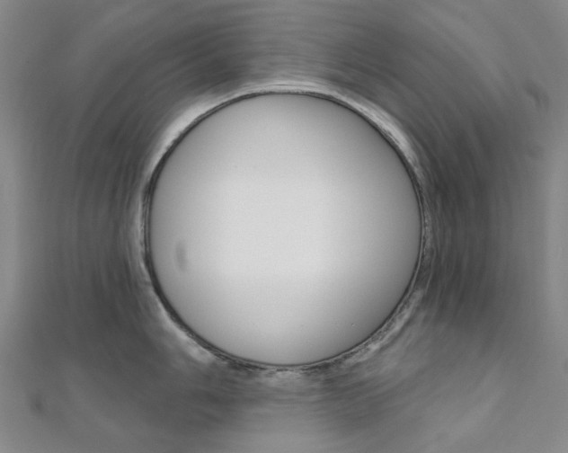 X0000112061006200908041007