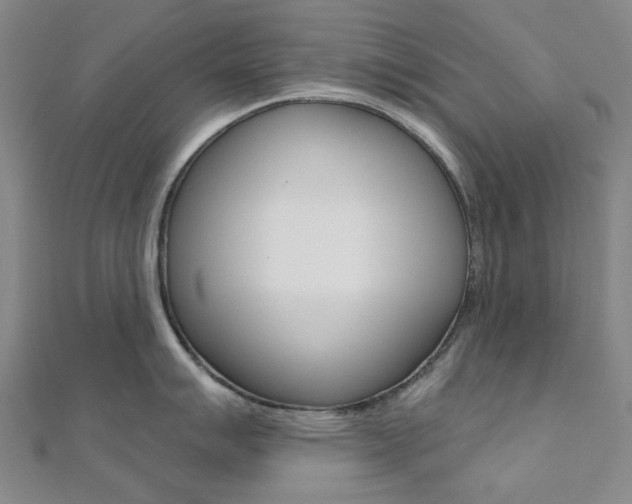 X0000112061007200908041007