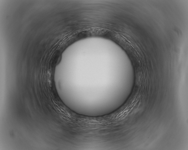 X0000112061010200908041006