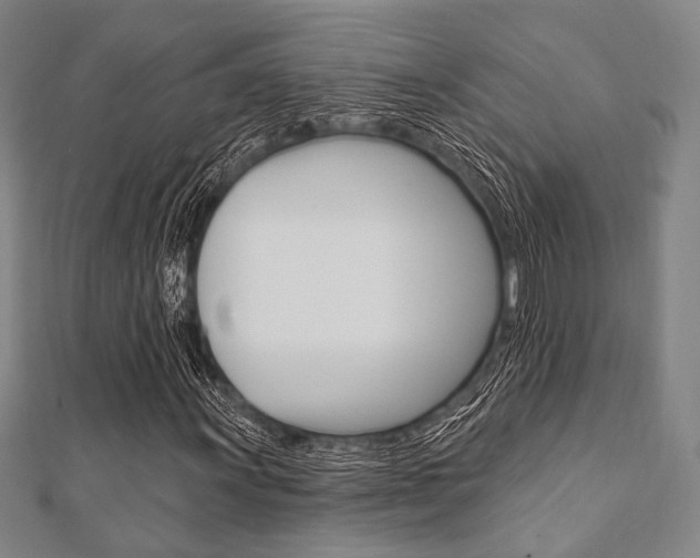 X0000112061011200908041006