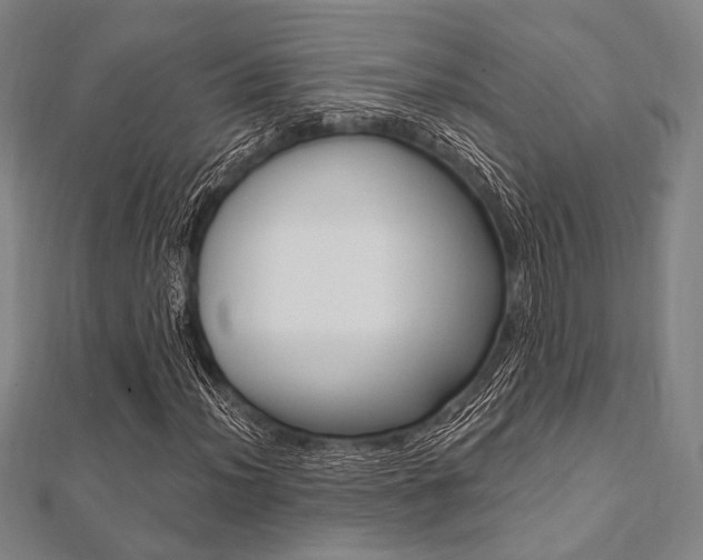 X0000112061012200908041006