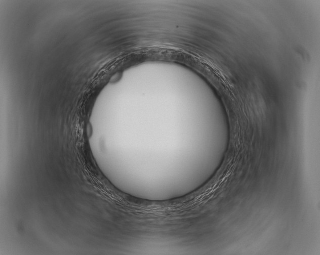 X0000112061013200908041006