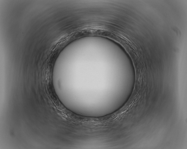 X0000112061014200908041006