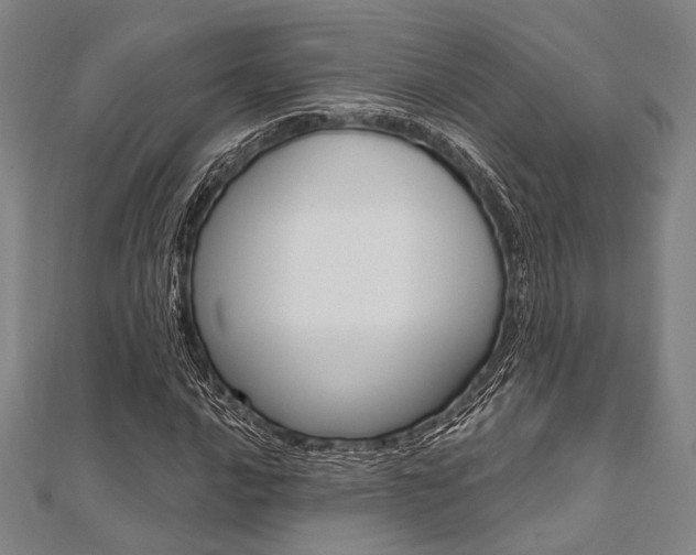 X0000112061016200908041006
