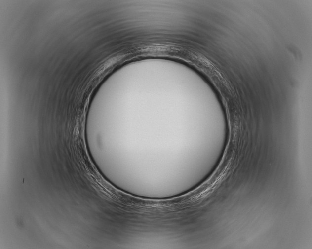 X0000112061017200908041006