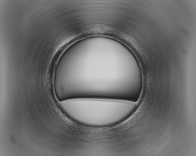 X0000112061018200908041006