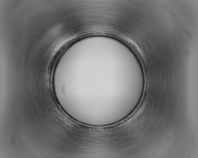 X0000112061019200908041006