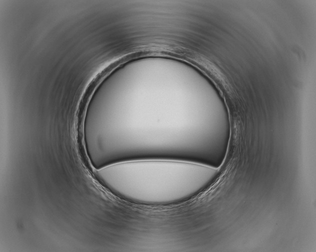 X0000112061020200908041006