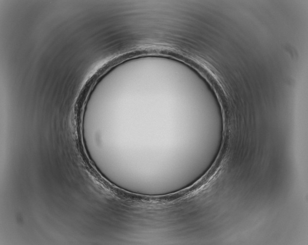 X0000112061022200908041006