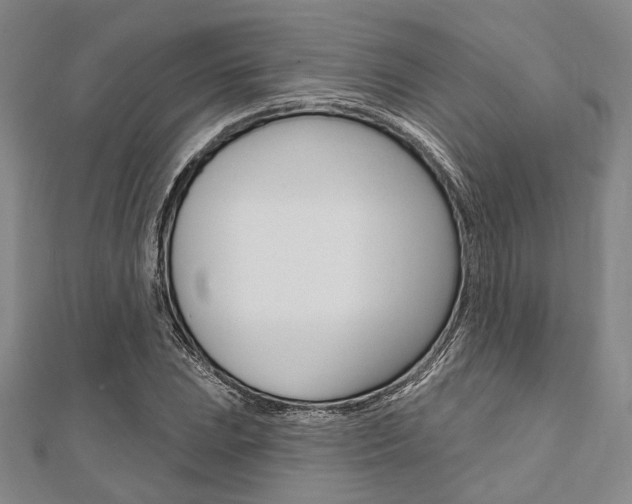 X0000112061023200908041006