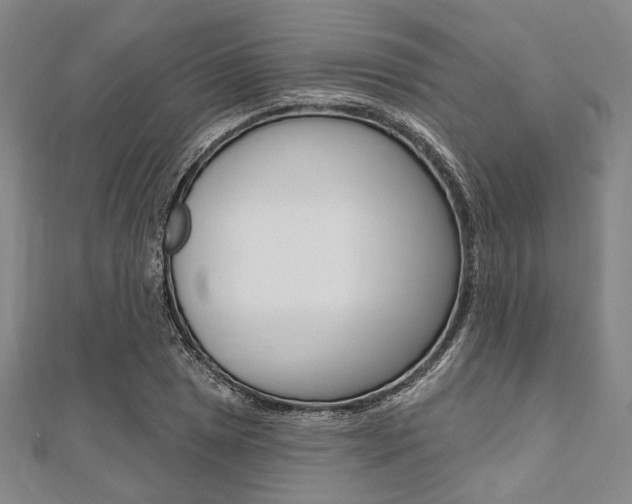 X0000112061025200908041006