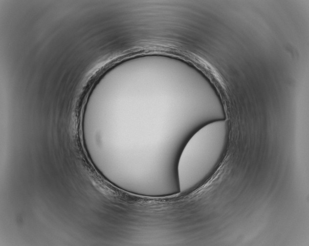 X0000112061027200908041006