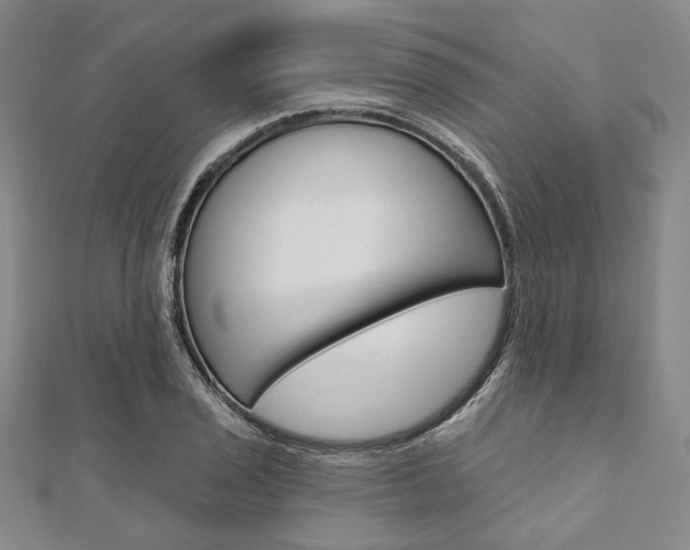 X0000112061029200908041006