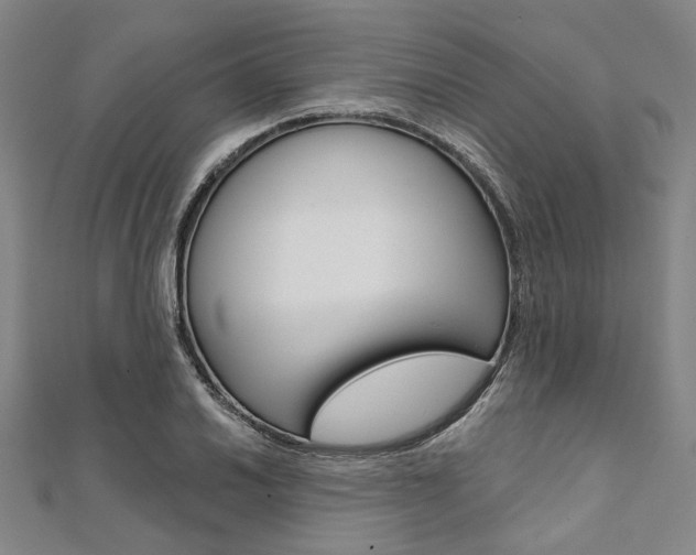 X0000112061030200908041006