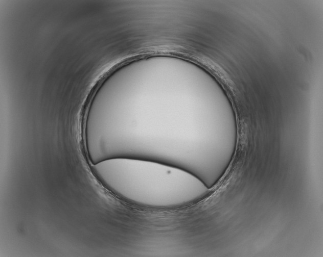 X0000112061031200908041006