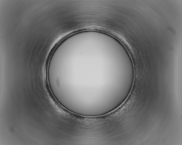 X0000112061032200908041006