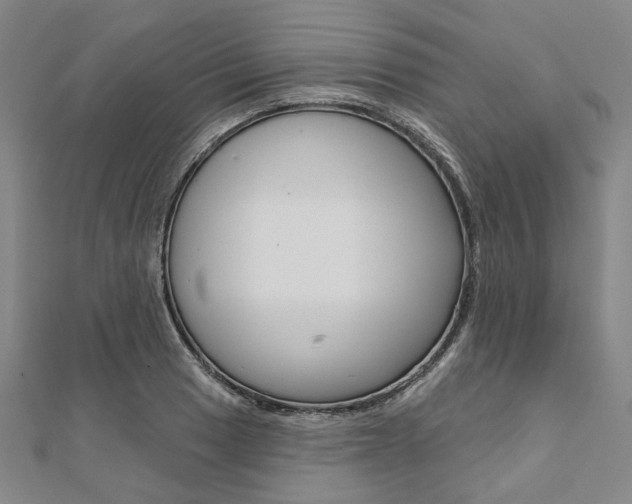 X0000112061033200908041006