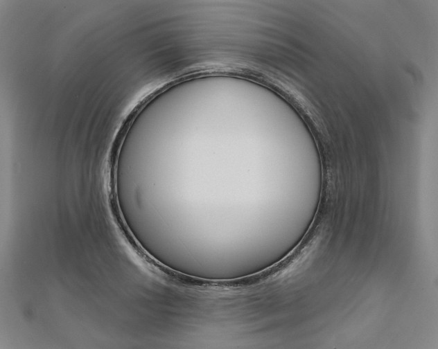 X0000112061034200908041006